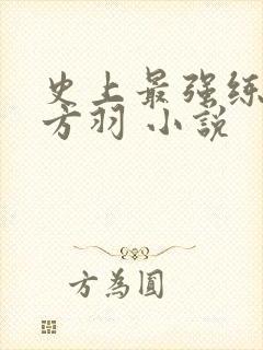 史上最强练气期方羽 小说