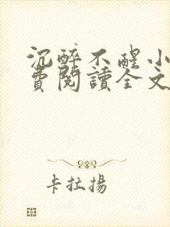 沉醉不醒小说免费阅读全文无弹窗