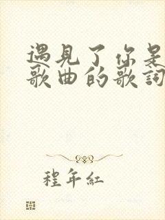 遇见了你是什么歌曲的歌词啊