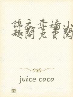 锦衣夺娇小说笔趣阁免费阅读