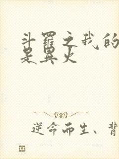 斗罗之我的武魂是异火