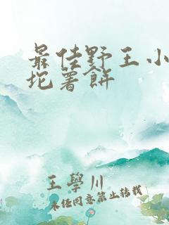 最佳野王小说一坨薯饼