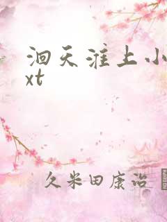 洄天淮上小说txt