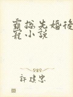 霸总先婚后爱甜宠小说