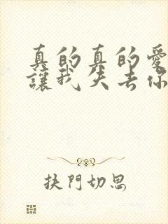 真的真的爱你别让我失去你是什么歌