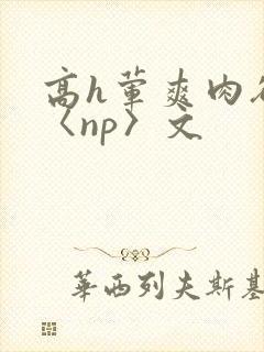 高h荤爽肉欲文〈np〉文