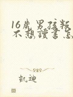 16岁男孩叛逆不想读书怎么办