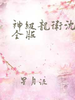 神级龙卫沈浪完全版