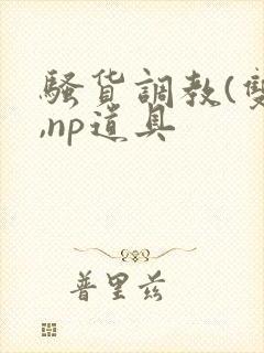 骚货调教(双性,np道具