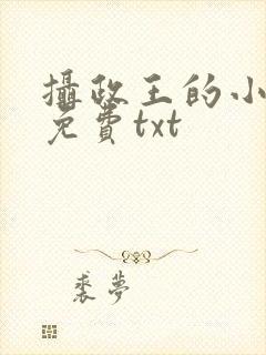 摄政王的小闲妻免费txt