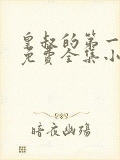 皇叔的第一宠妃免费全集小说