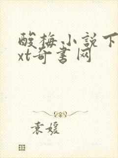 酸梅小说下载txt奇书网