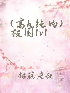 (高h,纯肉)校园1v1