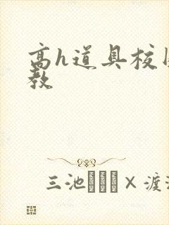 高h道具校园调教