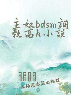 主奴bdsm调教高h小说