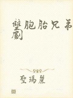 双胞胎兄弟电视剧