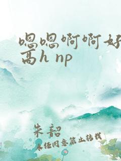 嗯嗯啊啊好爽 高h np