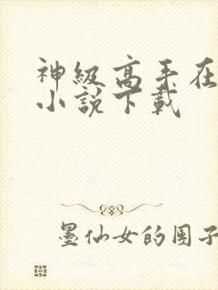 神级高手在都市小说下载