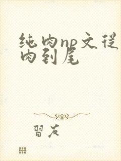 纯肉np文从头肉到尾