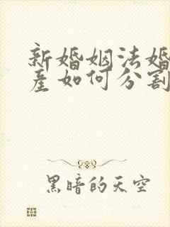 新婚姻法婚前财产如何分割