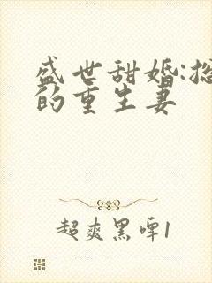 盛世甜婚:总裁的重生妻