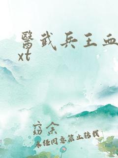 医武兵王血徒txt