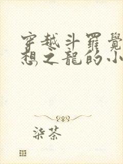 穿越斗罗觉醒空想之龙的小说