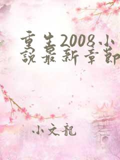 重生2008小说最新章节免费阅读全文