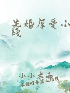 先婚厚爱小说在线