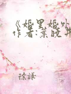 《婚里婚外》 作者:叶晓井