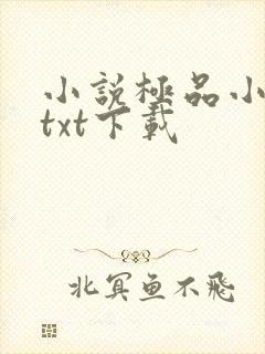 小说极品小侯爷txt下载