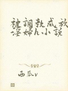 被调教成放荡小淫妇h小说