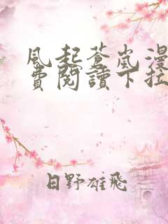 风起苍岚漫画免费阅读下拉式六漫画