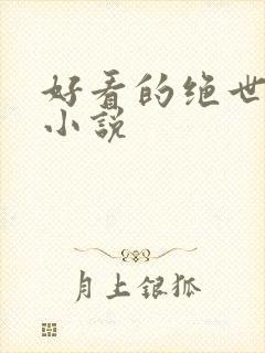 好看的绝世唐门小说