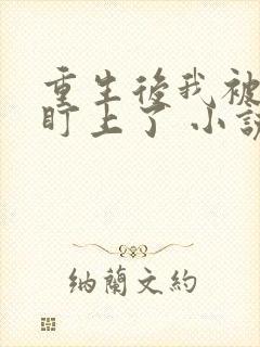 重生后我被大佬盯上了 小说