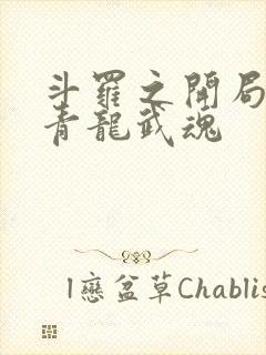 斗罗之开局觉醒青龙武魂