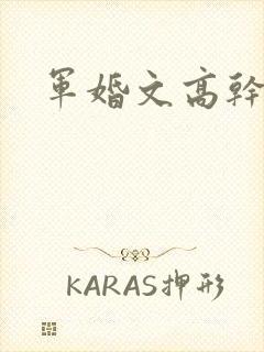 军婚文高干文