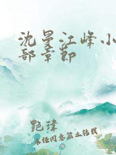 沈曼江峰小说全部章节