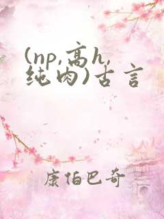 (np,高h,纯肉)古言