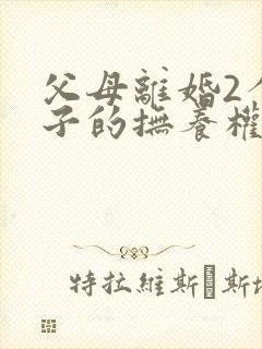 父母离婚2个孩子的抚养权怎么判定