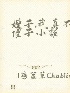 嫂子,我真不是傻子小说