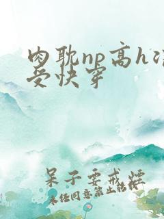 肉耽np高h浪受快穿