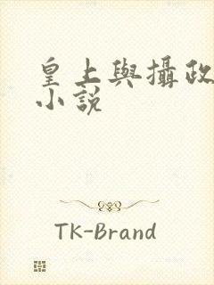 皇上与摄政王的小说