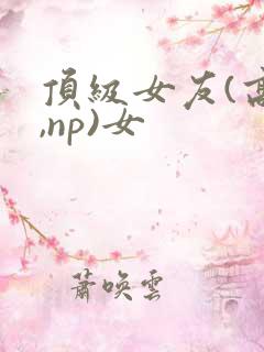 顶级女友(高h,np)女