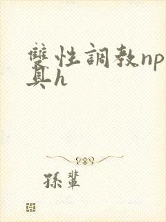 双性调教np道具h