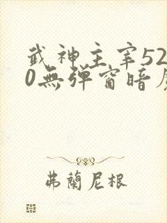武神主宰5200无弹窗暗魔师