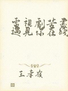 电视剧苦尽柑来遇见你在线观看免费完整版