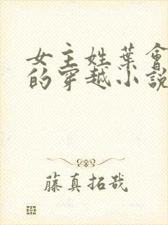 女主姓叶会医术的穿越小说