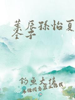 叶辰孙怡夏若雪全子