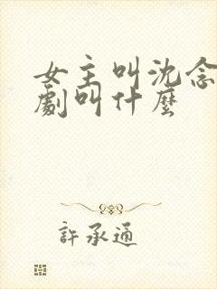 女主叫沈念的短剧叫什么